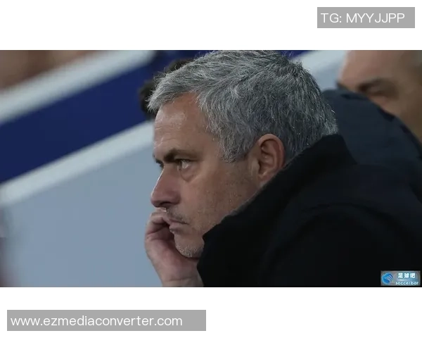 深入解析法国足球明星的辉煌成就与场上表现的综合评价